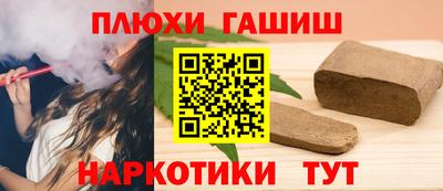 индика Гатчина