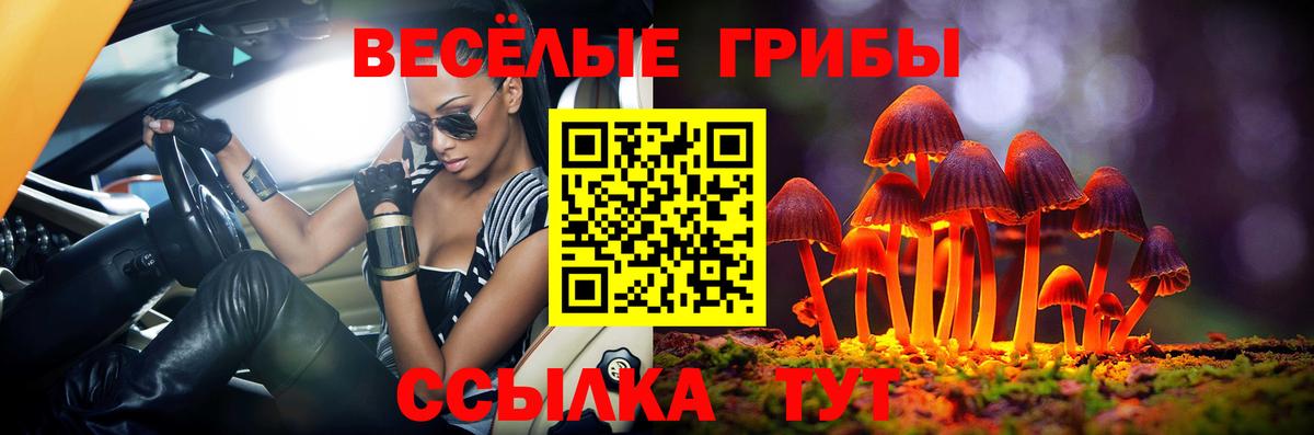 Псилоцибиновые грибы Magic Shrooms  Вход с VPN  Зеленогорск 