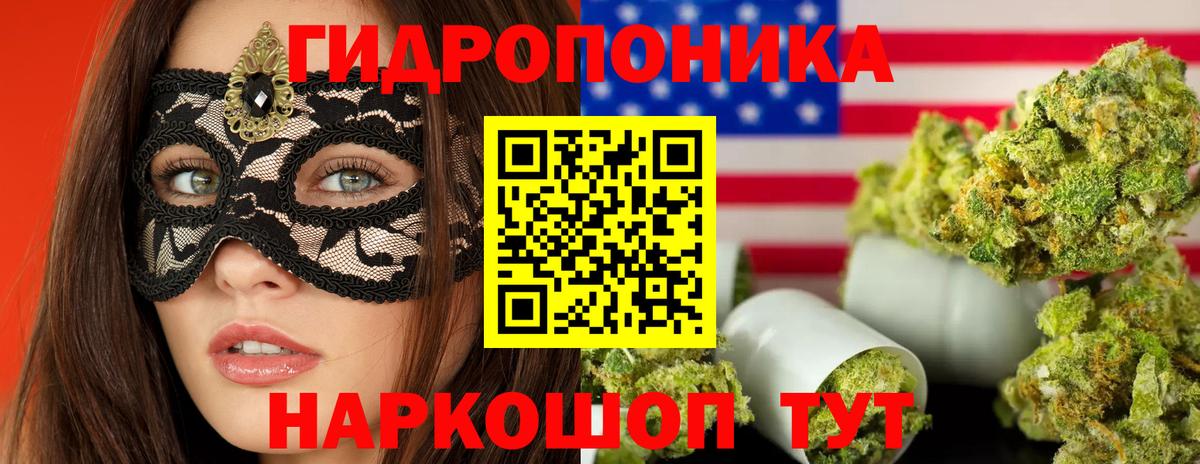 Бошки Шишки сатива  Вход с VPN  Канабис Amnesia  Зеленогорск  Конопля тримм  Бошки Шишки ГИДРОПОН 